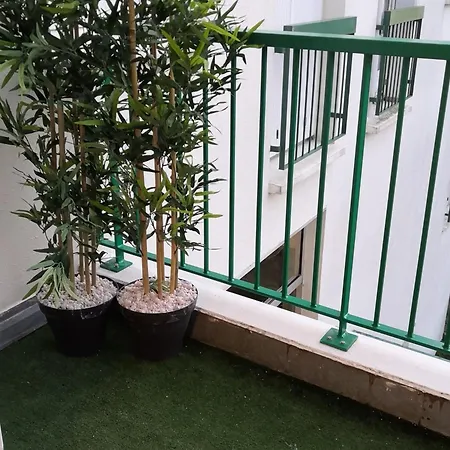 Meuble Avec Balcon - Animaux Admis, Wifi - Fr-1-541-146 Apartment La Roche-Posay